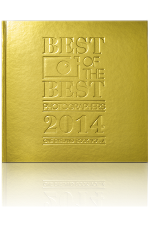 BEST OF THE BEST PHOTOGRAPHERS 2014