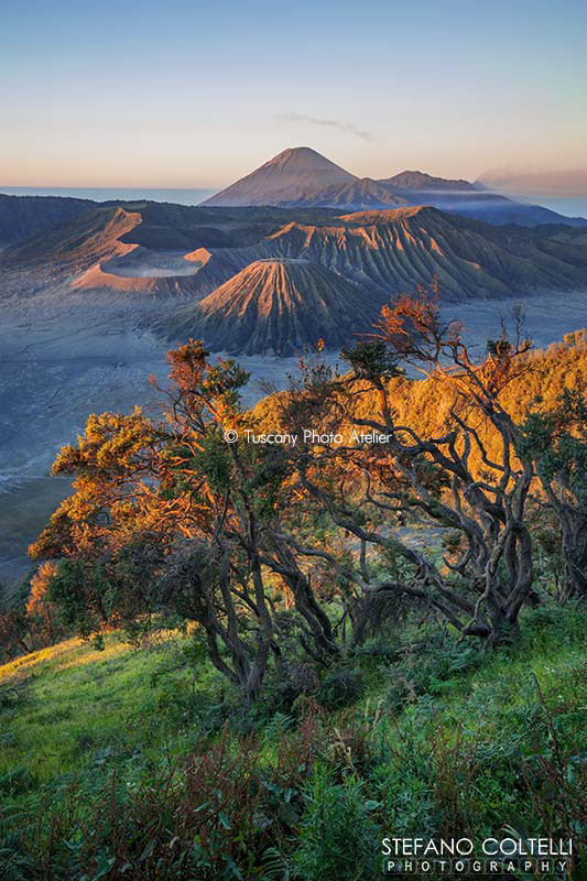 Stefano Coltelli - Travel Photography - Mount Bromo, Java Island, Indonesia