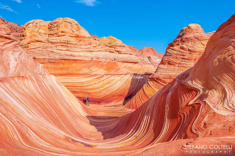 Stefano Coltelli - Travel Photography - The Wave, Vermilion Cliffs, Paria Canyon, Utah, Usa