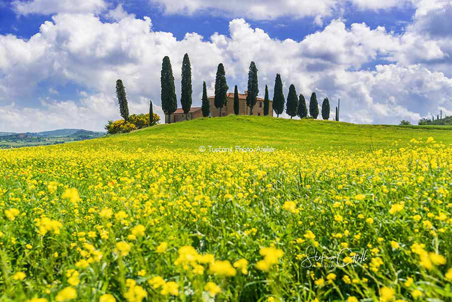 Stefano Coltelli - Tuscany landscapes - Val d'Orcia, Pienza, Siena