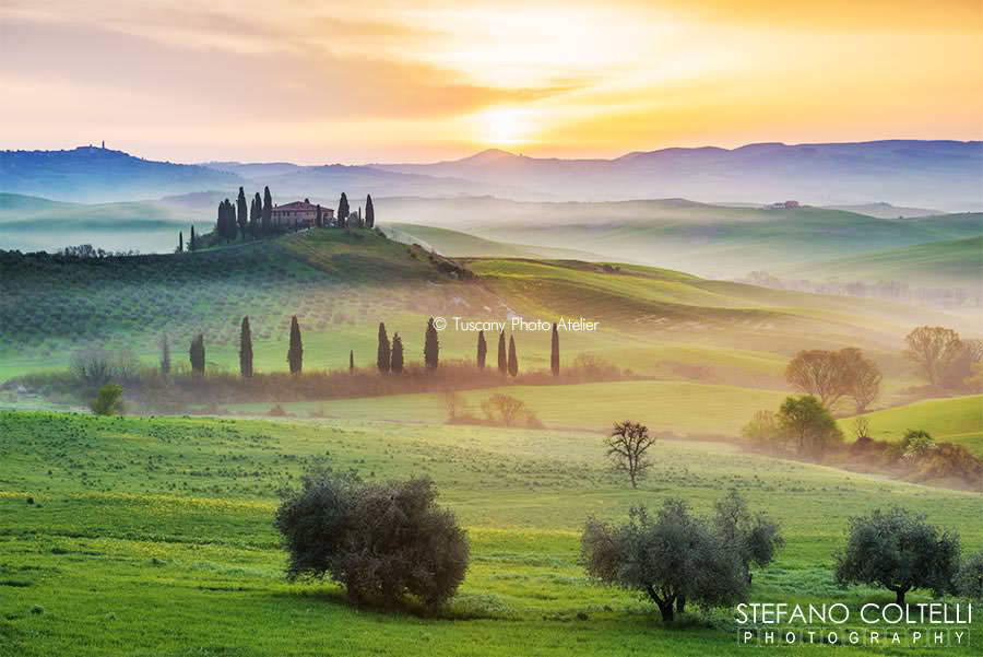 Stefano Coltelli - Tuscany landscapes - Val d'Orcia, San Quirico, Siena