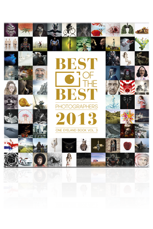 BEST OF THE BEST PHOTOGRAPHERS 2013